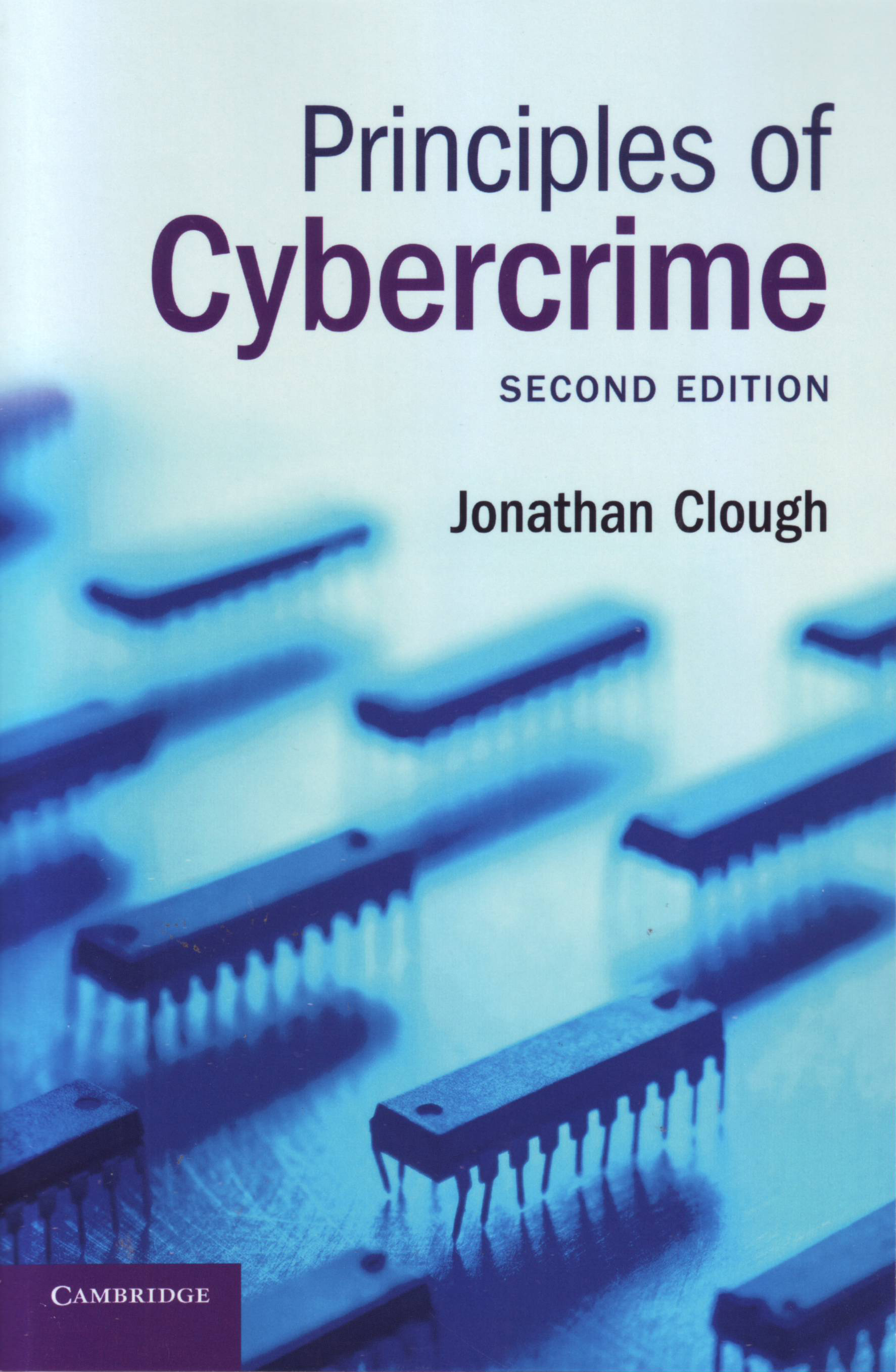 Principles of Cybercrime e2