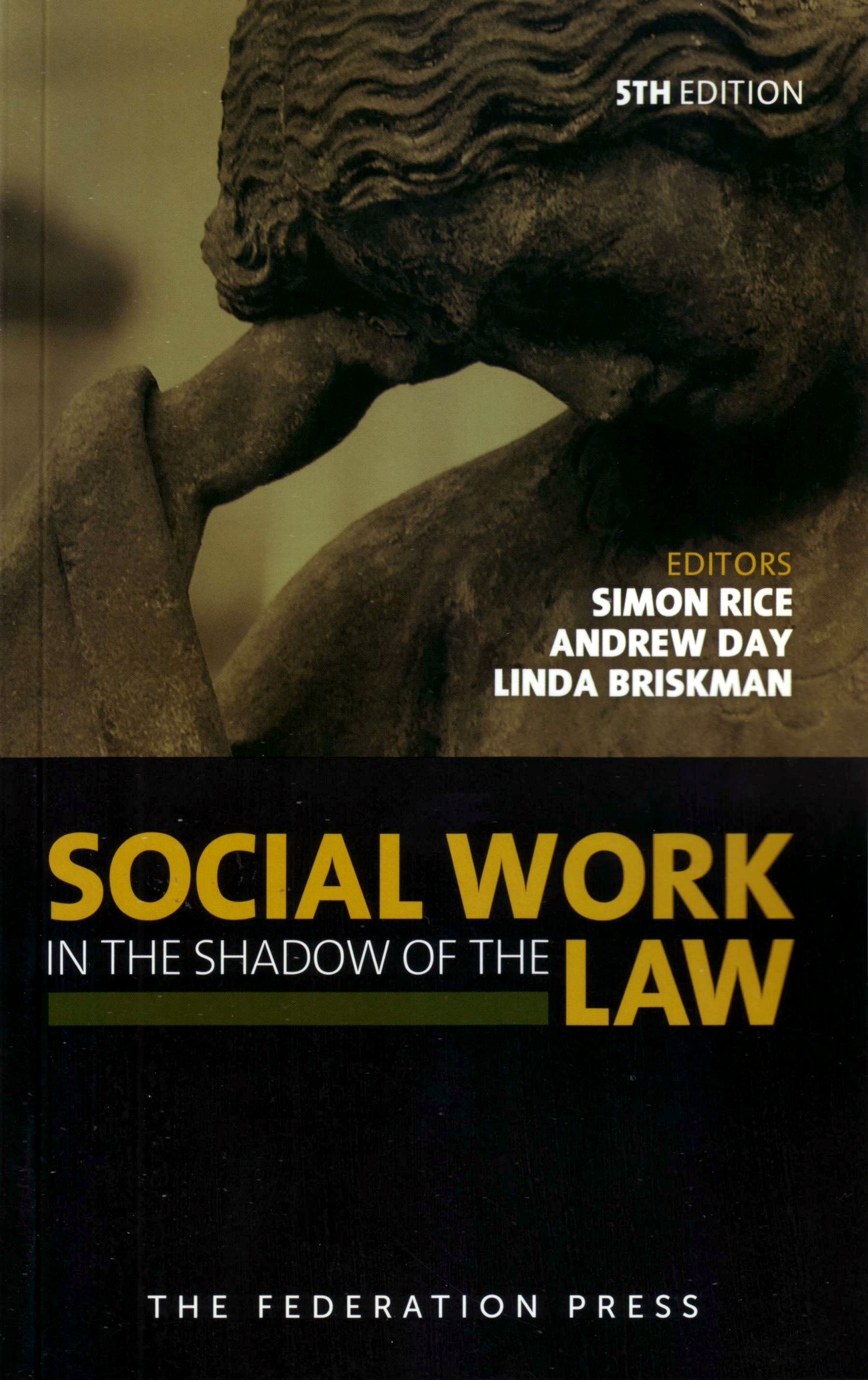 Social Work in the Shadow of the Law e5