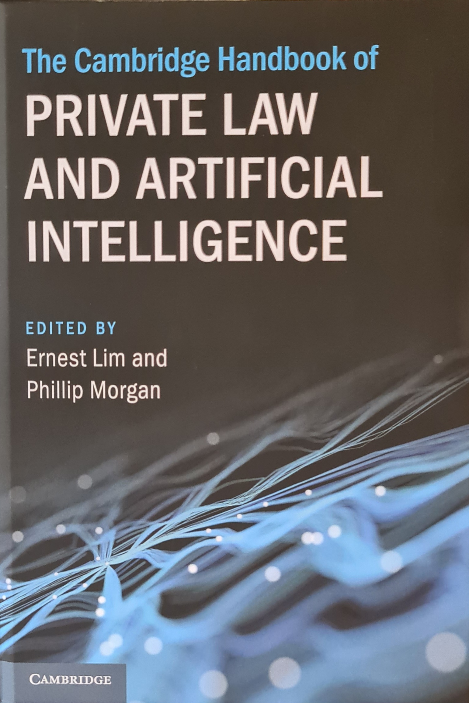 Cambridge Handbook of Private Law and Artificial Intel
