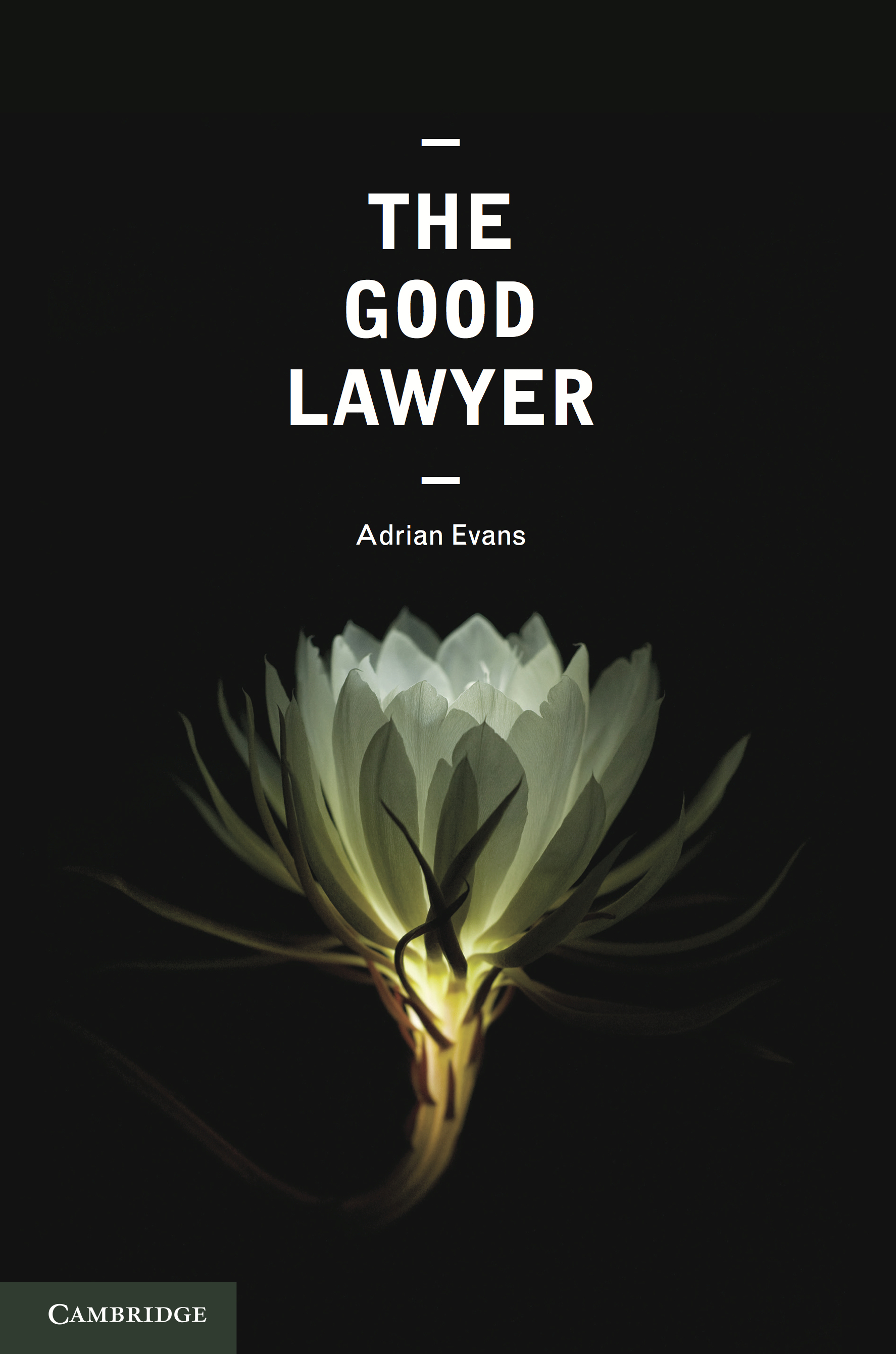 The Good Lawyer | Law Books